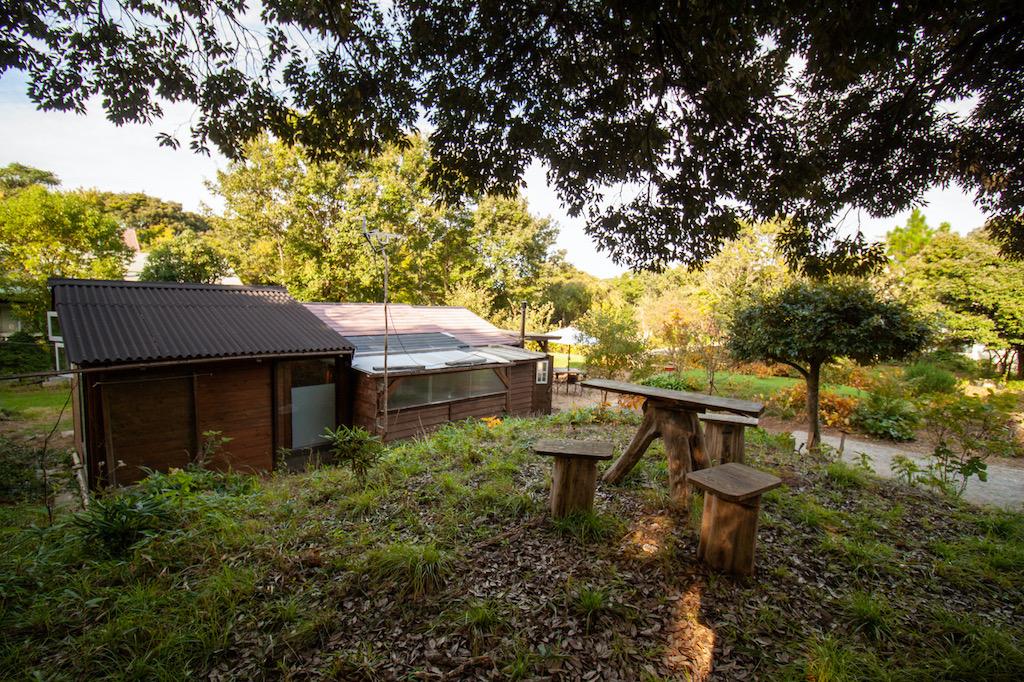 福井県坂井市三国町崎の売買物件/起伏に富んだ庭です。