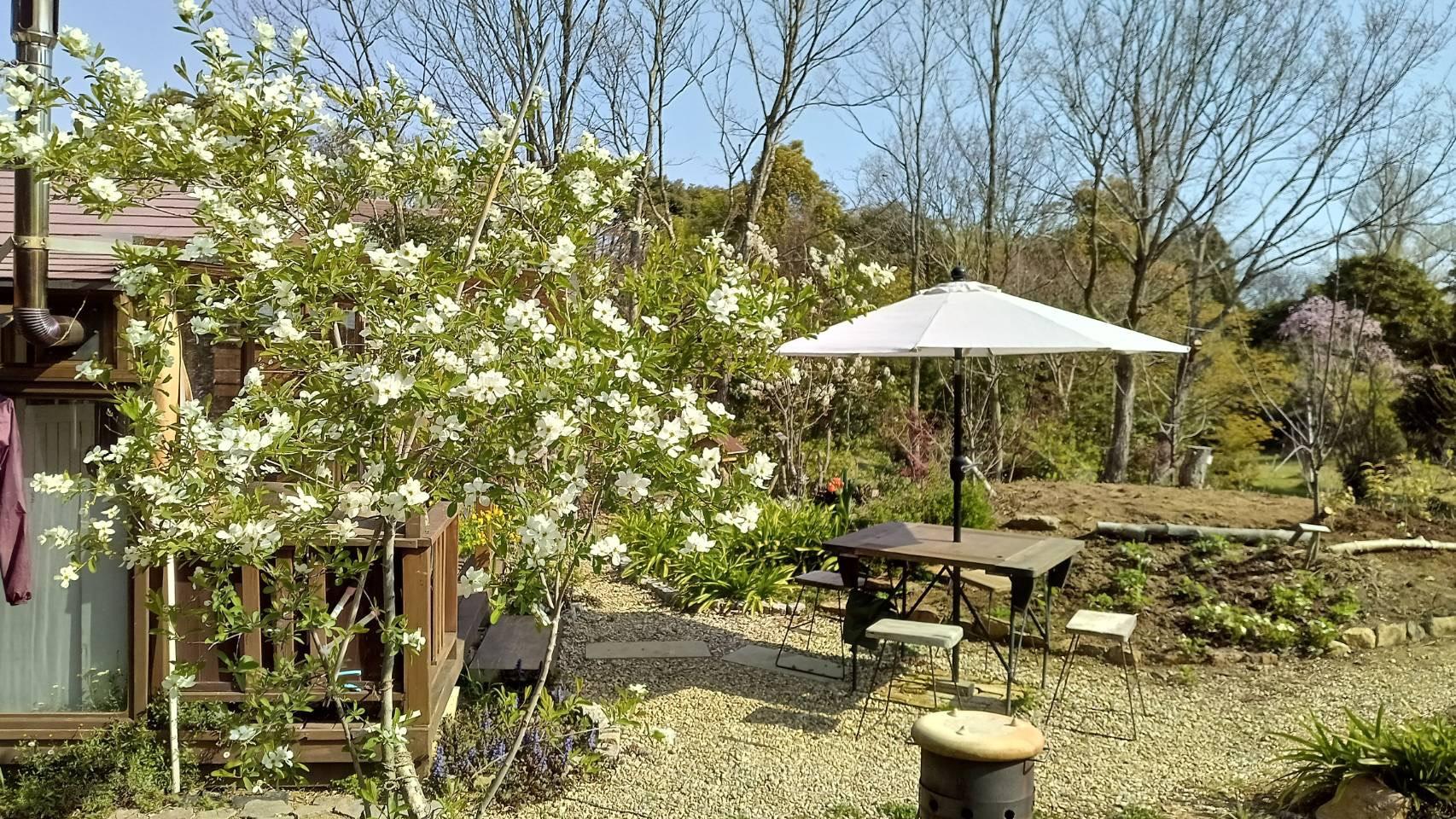 福井県坂井市三国町崎の売買物件/花を眺めながらお茶したいです。