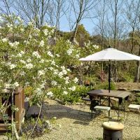 福井県坂井市三国町崎の売買物件/花を眺めながらお茶したいです。