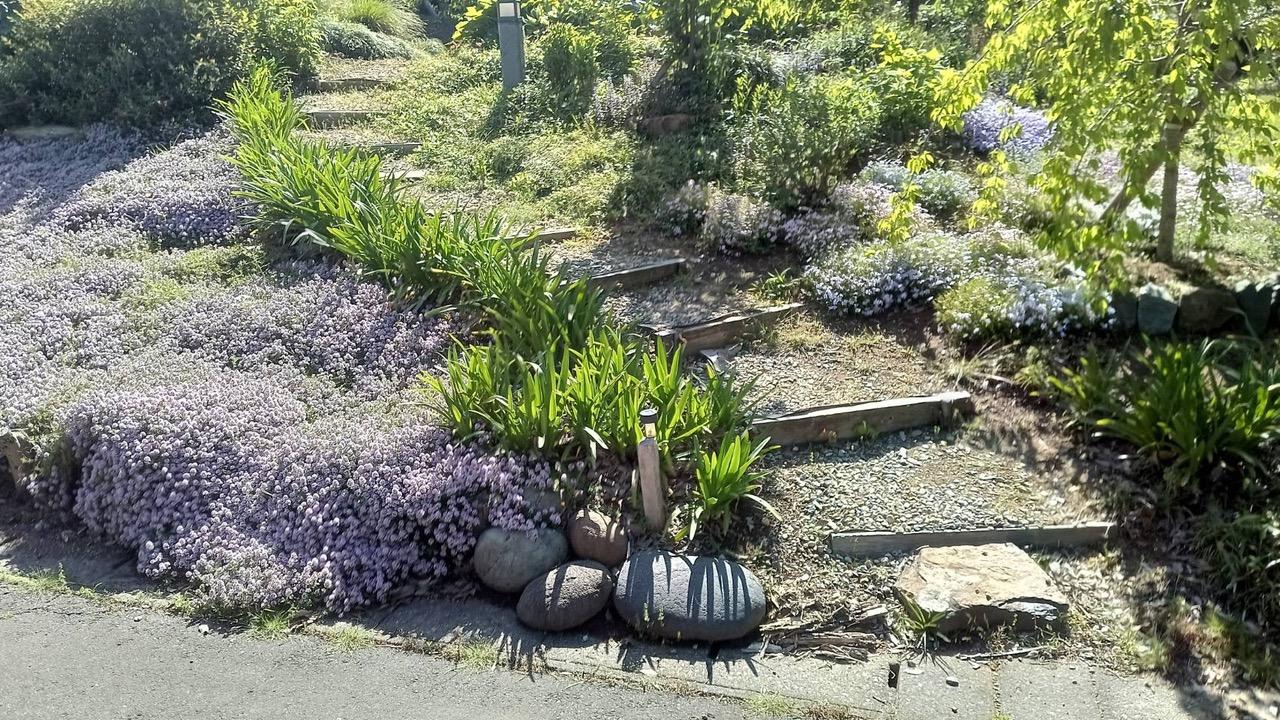 福井県坂井市三国町崎の売買物件/四季折々の花が楽しめます