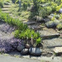 福井県坂井市三国町崎の売買物件/四季折々の花が楽しめます