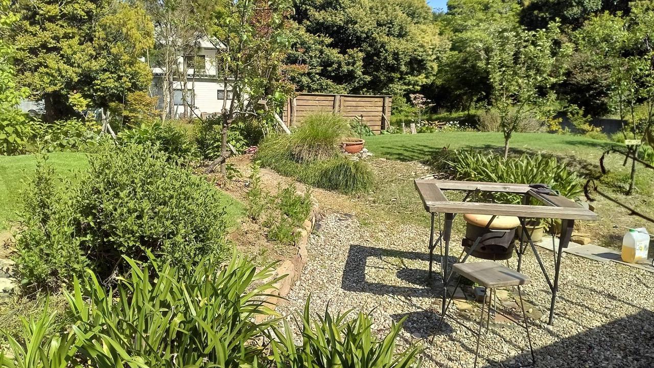 福井県坂井市三国町崎の売買物件/庭には果樹がたくさん植えられています。