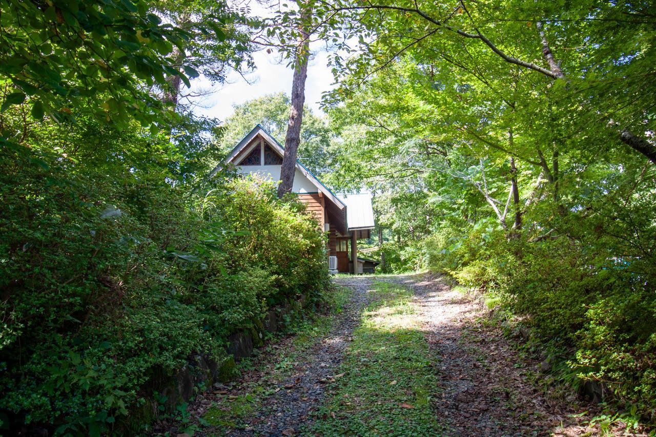 珠洲市若山町上山の売買物件/広葉樹のトンネル