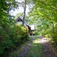 珠洲市若山町上山の売買物件/広葉樹のトンネル