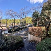 金沢市高尾南1丁目の売買物件/家を出るとすぐに神社の鳥居が見えます　春になると家の前に綺麗な桜が咲きます