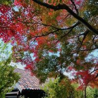 白山市八幡町の売買物件/紅葉の時期はこのような感じです。複数の色の屋根瓦もこだわりです