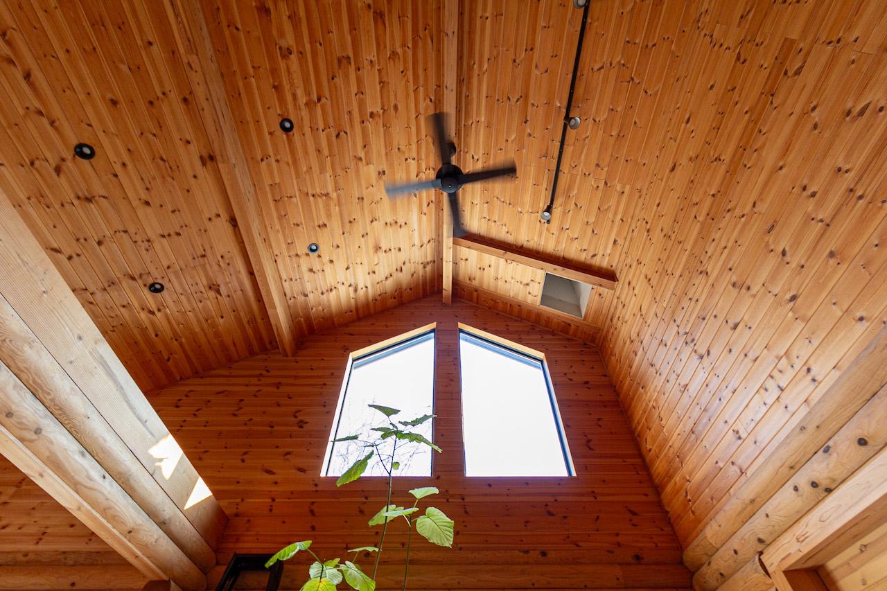 白山市八幡町の売買物件/吹き抜けと大きな窓のおかげで室内でも開放感があります。