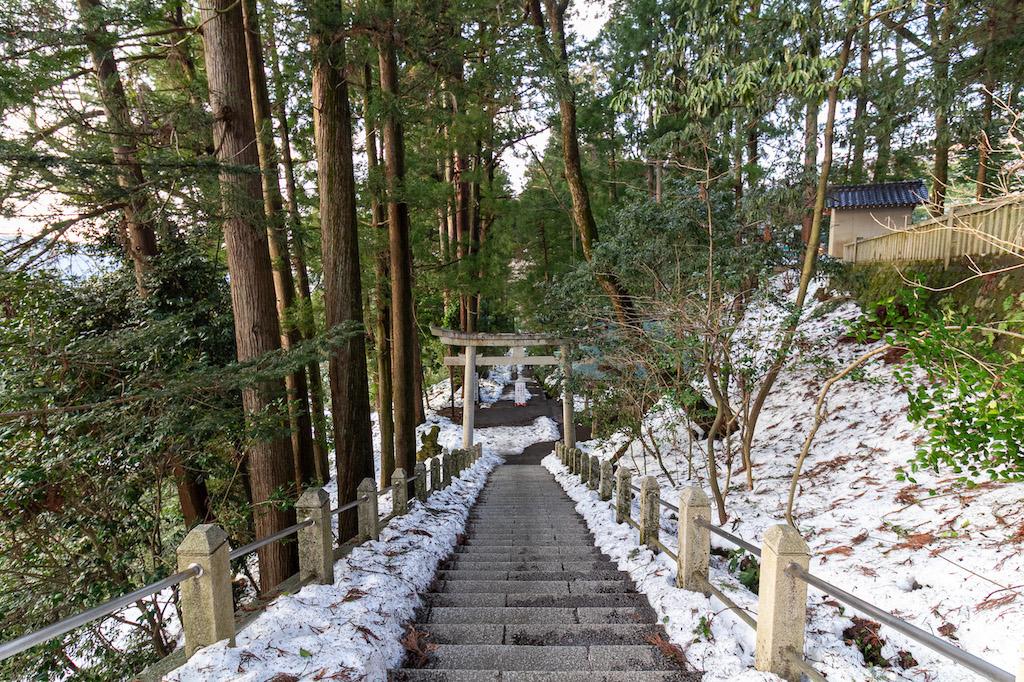 白山市八幡町の売買物件/白山比咩神社の表参道。気持ちが良い場所です
