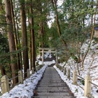 白山市八幡町の売買物件/白山比咩神社の表参道。気持ちが良い場所です