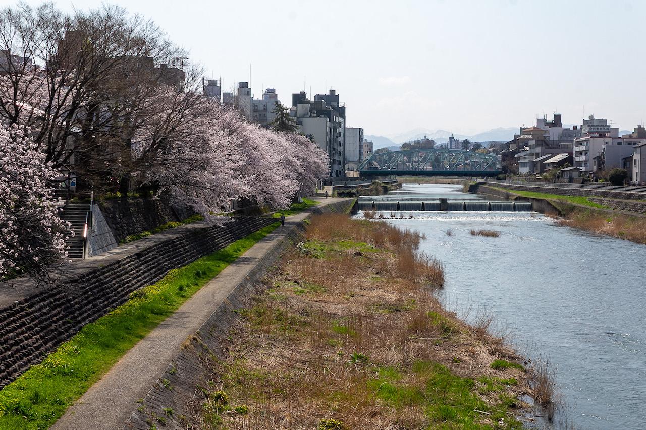 金沢市片町の賃貸物件/本物件目の前の犀川緑地