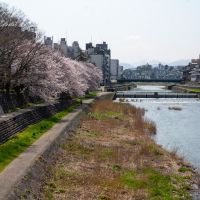 金沢市片町の賃貸物件/本物件目の前の犀川緑地