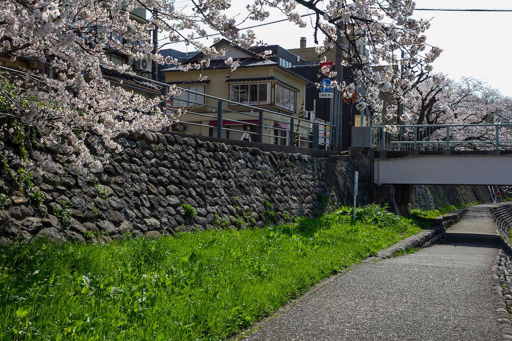 金沢市片町の賃貸物件/桜と本物件