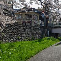 金沢市片町の賃貸物件/桜と本物件