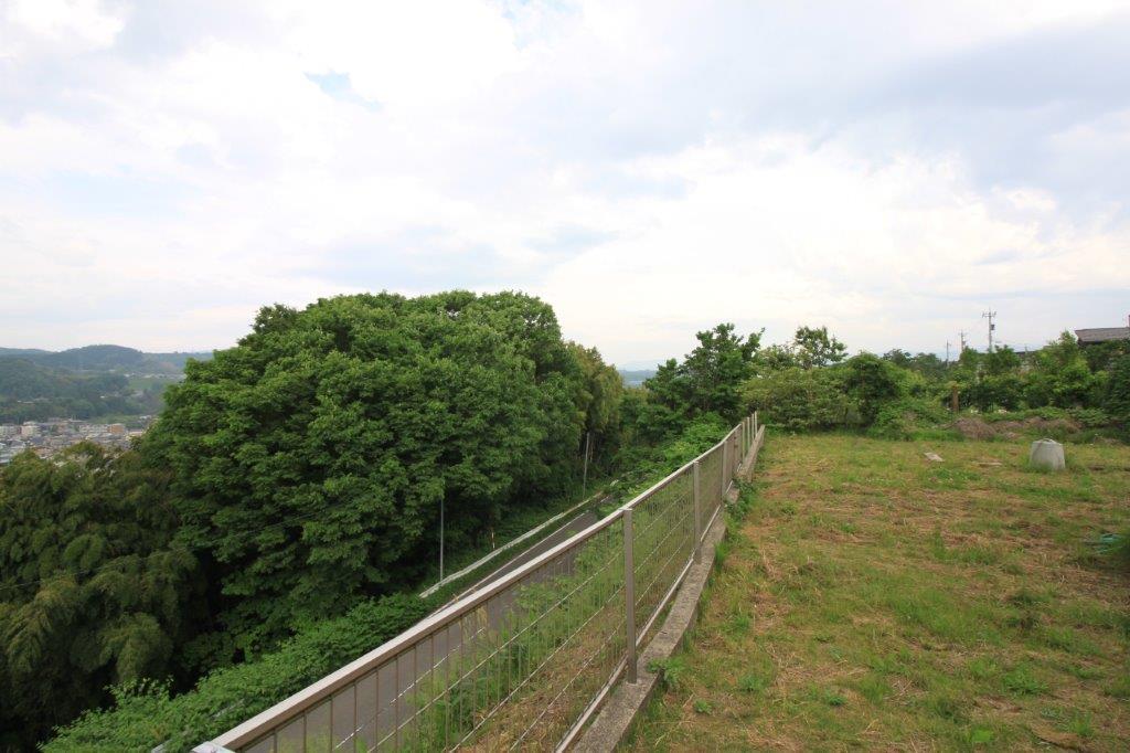 斜面沿いに広がる広大の庭