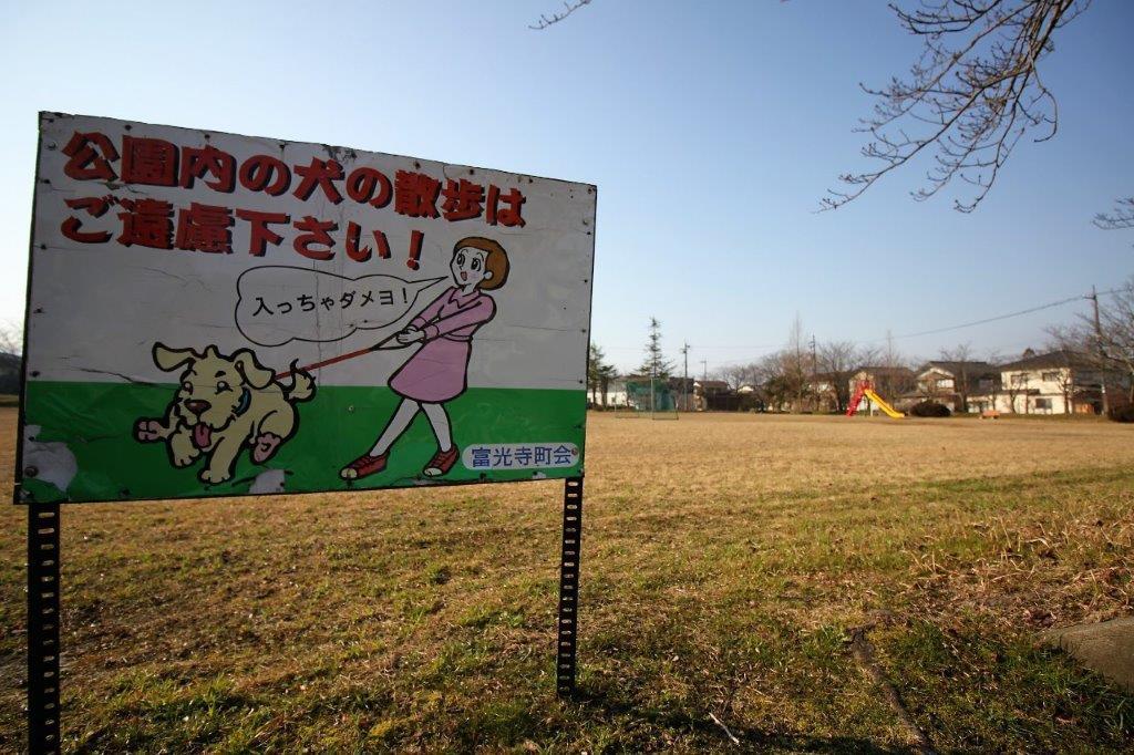 住宅街の中にある大きな公園。