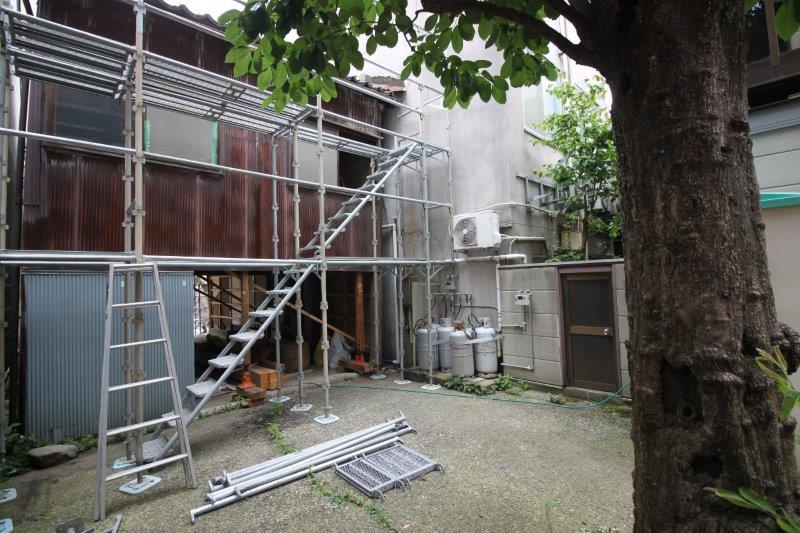 この大きな柿の木は樹齢100年以上!