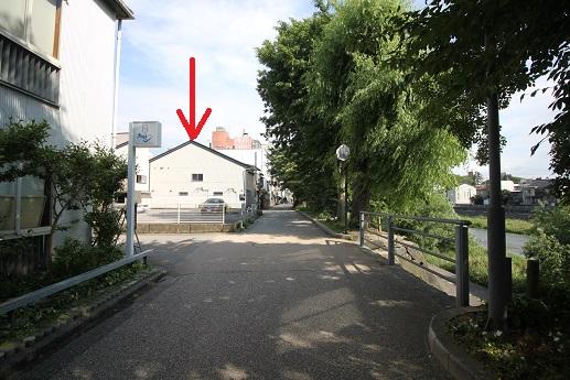 桜並木の前面道路