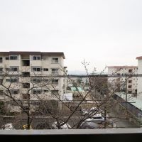 神戸市灘区鶴甲の賃貸物件/桜と海を望む眺望