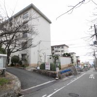 神戸市灘区鶴甲の賃貸物件/外観