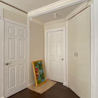 芦屋市東山町の売買物件/洋風な建具