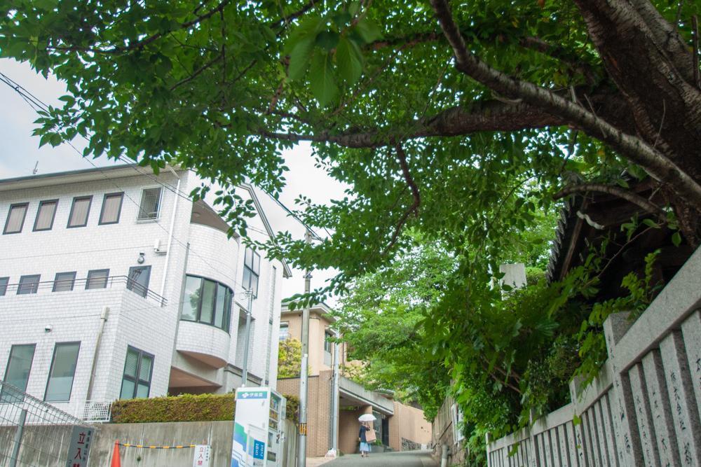便利な立地でありながら閑静な住宅街