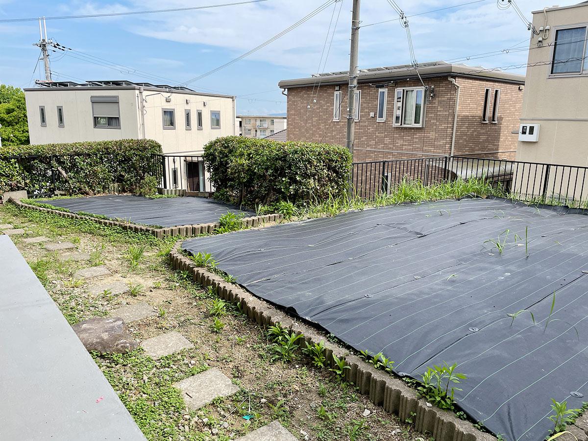 家庭菜園ができます