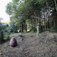 神戸市須磨区妙法寺谷野の賃貸物件/竹林の裏山には開けた場所も