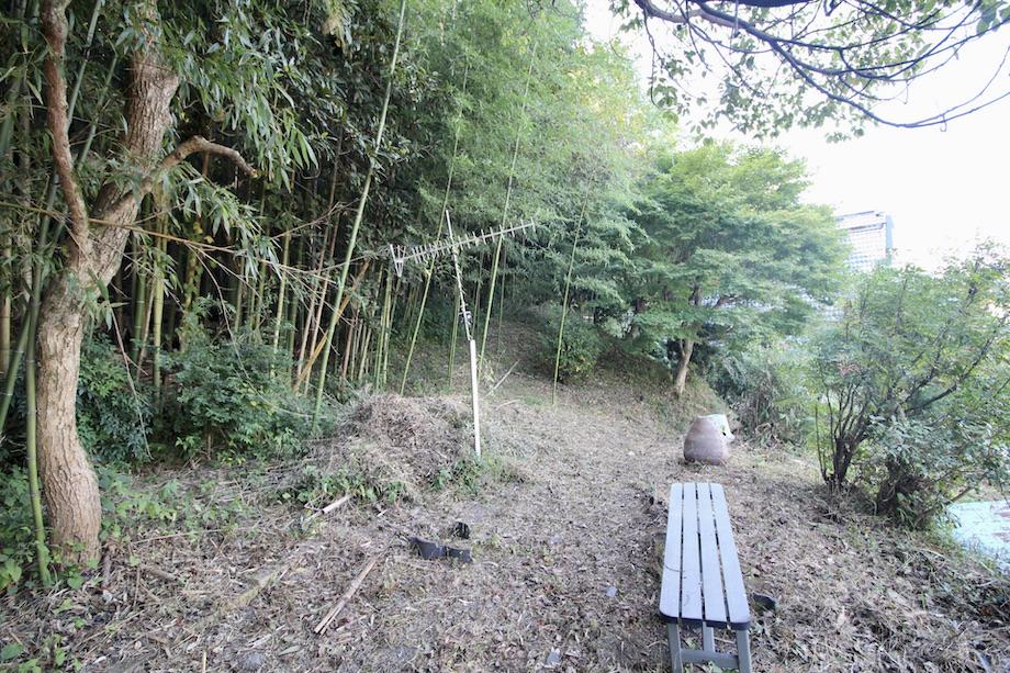 神戸市須磨区妙法寺谷野の賃貸物件/竹林の裏山