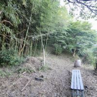 神戸市須磨区妙法寺谷野の賃貸物件/竹林の裏山