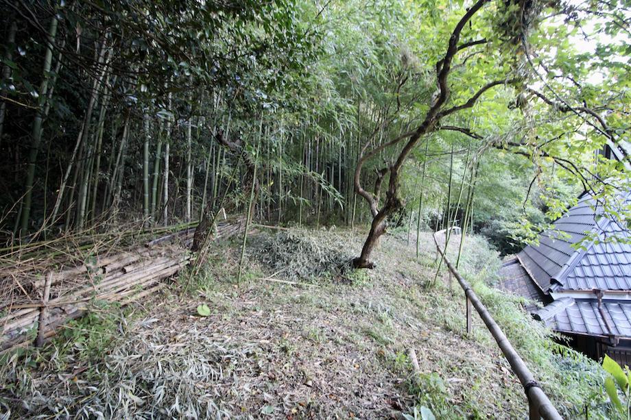 神戸市須磨区妙法寺谷野の賃貸物件/竹林の裏山