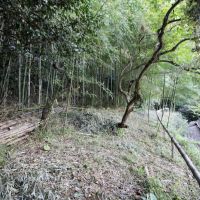 神戸市須磨区妙法寺谷野の賃貸物件/竹林の裏山