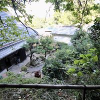 神戸市須磨区妙法寺谷野の賃貸物件/竹林の裏山から庭園を望む