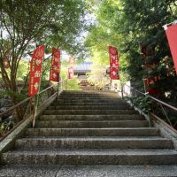 神戸市須磨区妙法寺谷野の賃貸物件/物件近くの妙法寺の階段