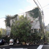 芦屋市西山町の賃貸物件/外観