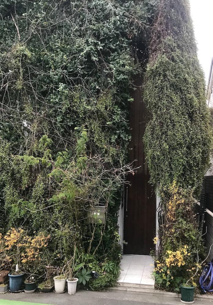 芦屋市西山町の賃貸物件/そそられる玄関