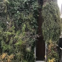 芦屋市西山町の賃貸物件/そそられる玄関