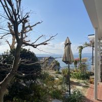 神戸市垂水区塩屋町の売買物件/2階上段の庭。木々の狭間から海。