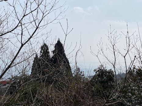 森の狭間に海が見える。