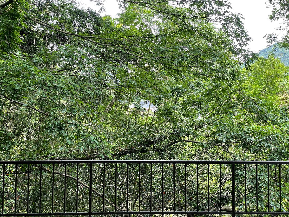 神戸市北区山田町原野の賃貸物件/地下だけど外？？