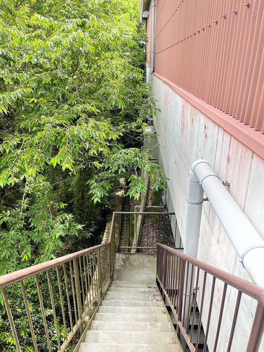 神戸市北区山田町原野の賃貸物件/降りて行くときどきどきします