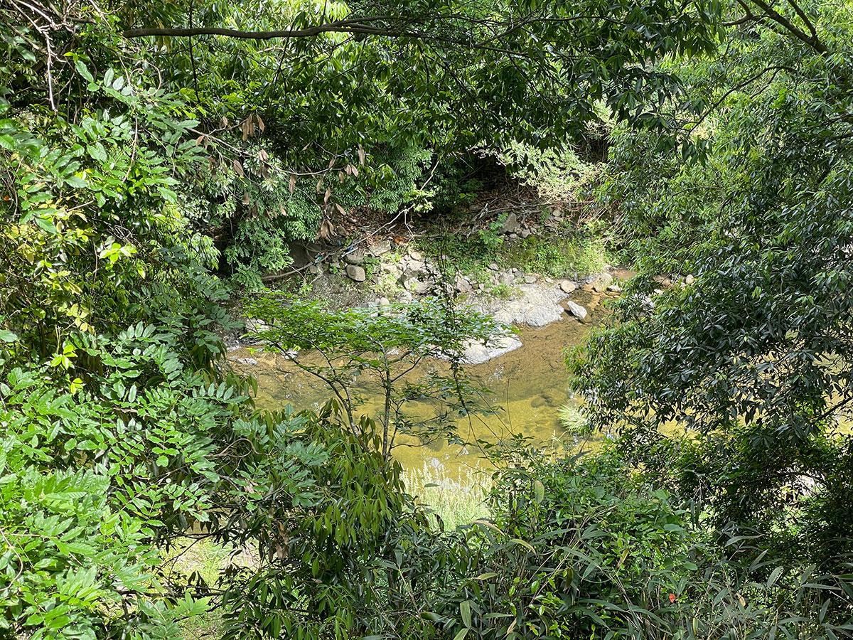 神戸市北区山田町原野の賃貸物件/隣は川