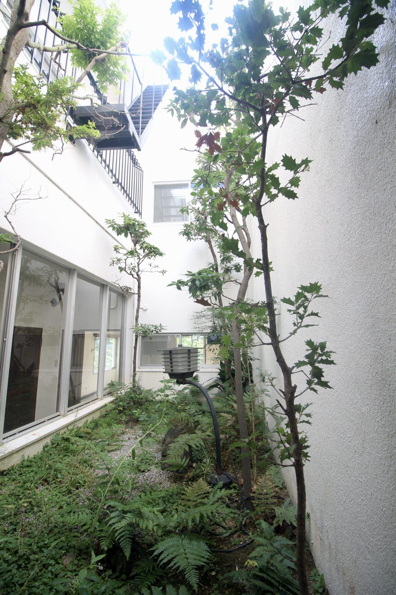 1階洋室からの景色。