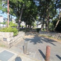 神戸市東灘区森北町の売買物件/すぐ近くに緑豊かな公園があります。