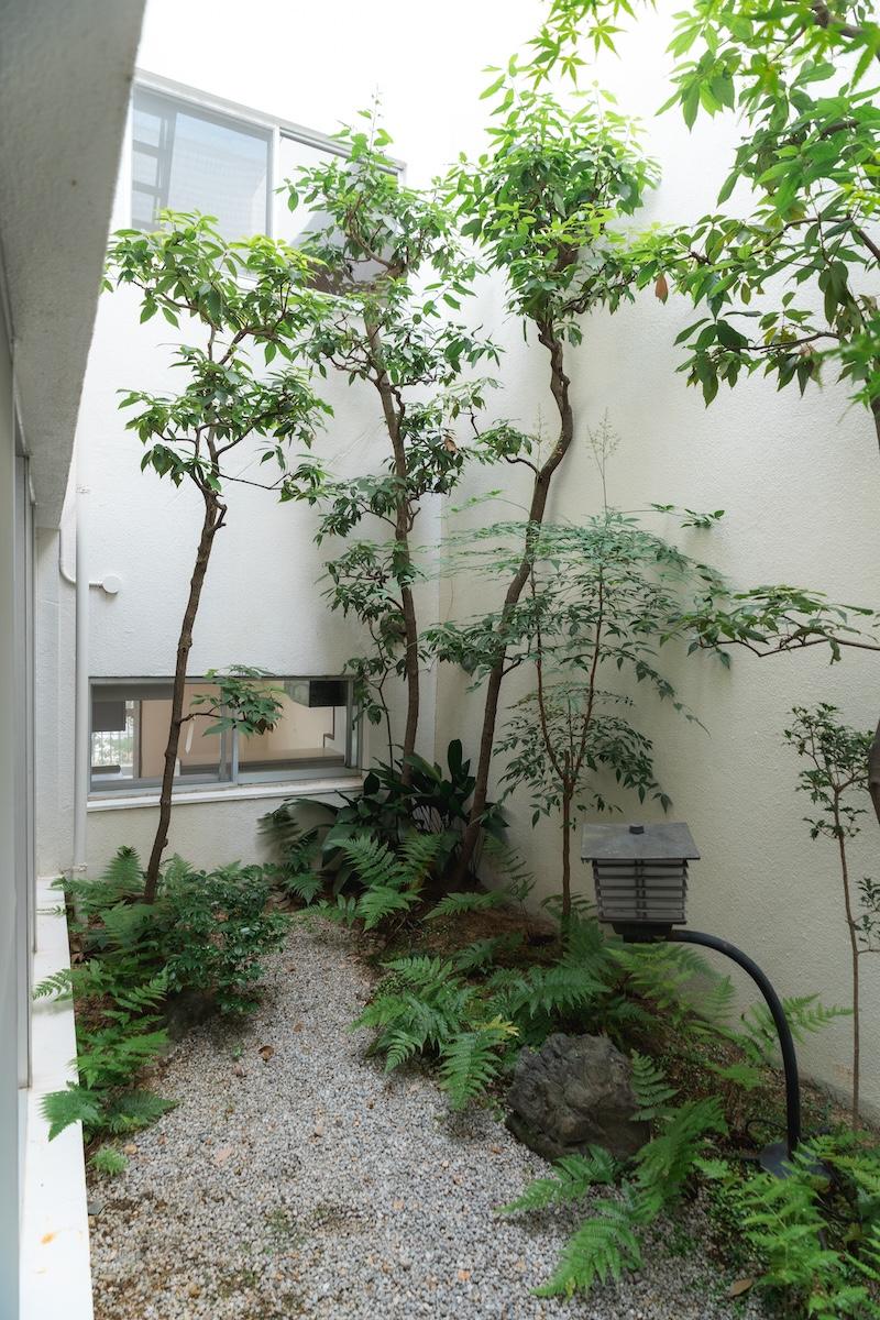 神戸市東灘区森北町の売買物件/採光と癒しを与えてくれる中庭