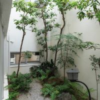 神戸市東灘区森北町の売買物件/採光と癒しを与えてくれる中庭