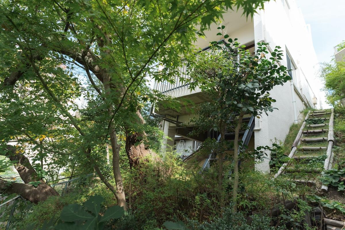 神戸市東灘区森北町の売買物件/1階リビングからは斜面状の庭に下りられます