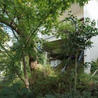 神戸市東灘区森北町の売買物件/1階リビングからは斜面状の庭に下りられます