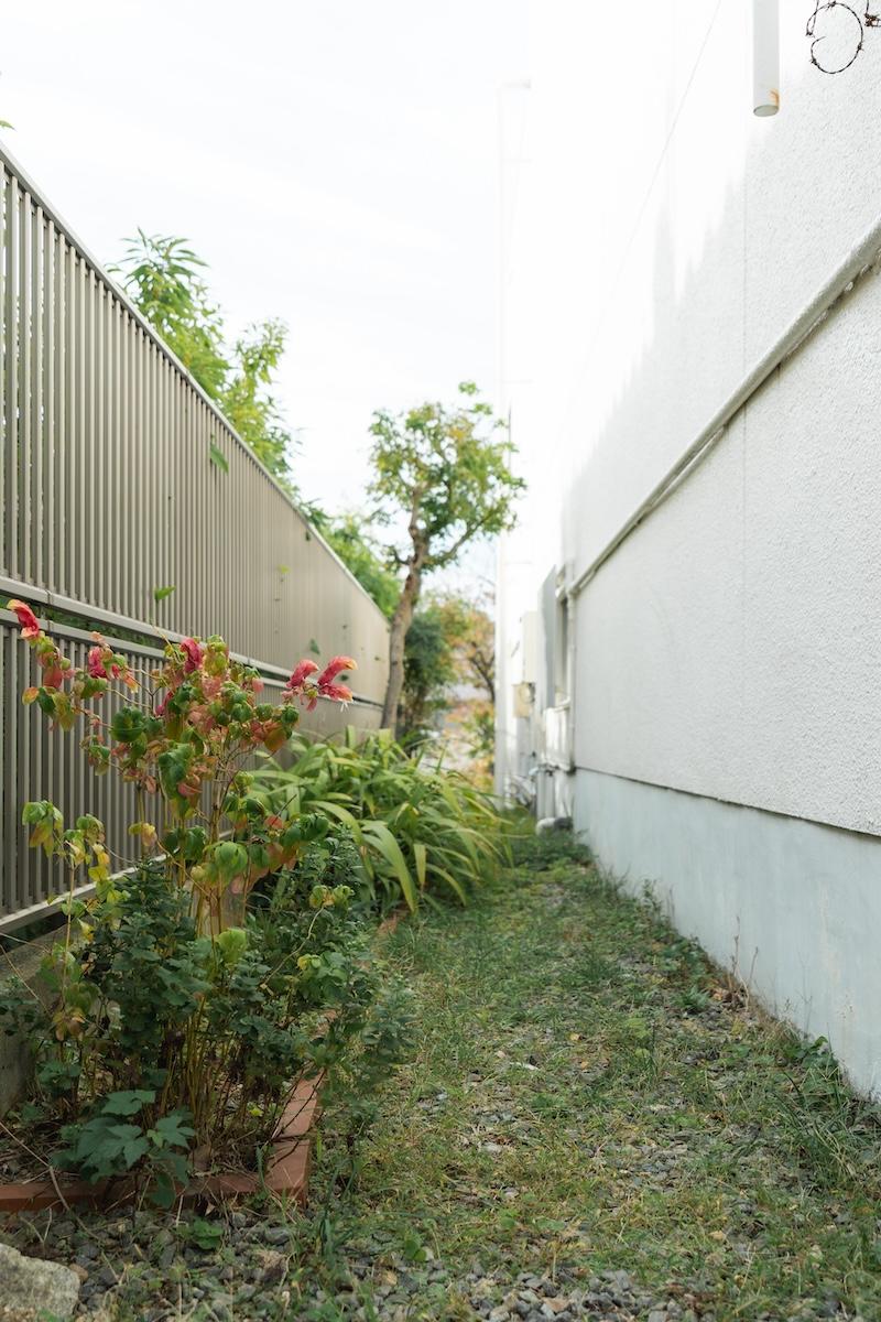 神戸市東灘区森北町の売買物件/玄関脇の小道に花壇
