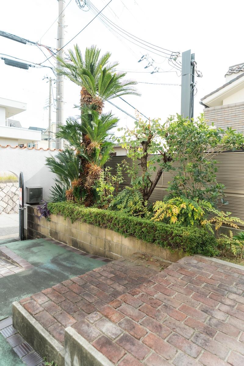 神戸市東灘区森北町の売買物件/アーチの門扉をくぐるとソテツがお出迎え