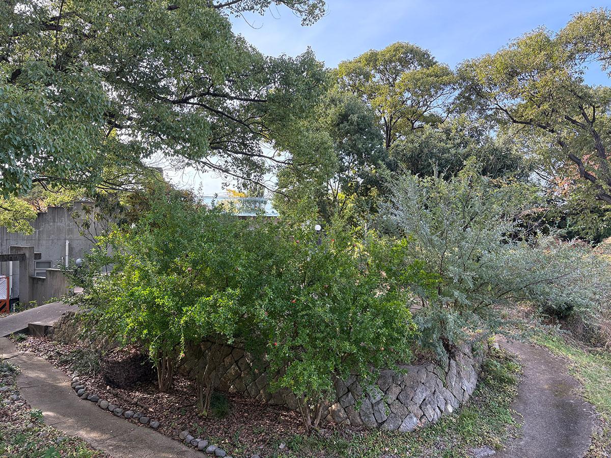 姫路市岩端町の賃貸物件/280号室のバルコニーから里山の庭を眺める